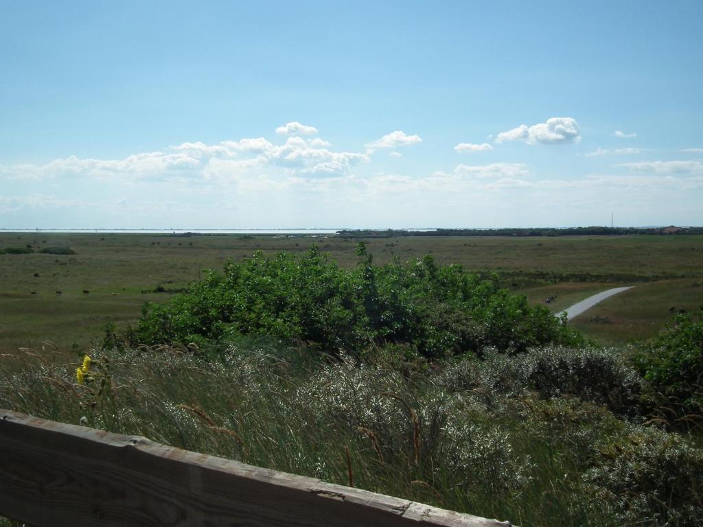 Hollumerduinen Экстерьер фото